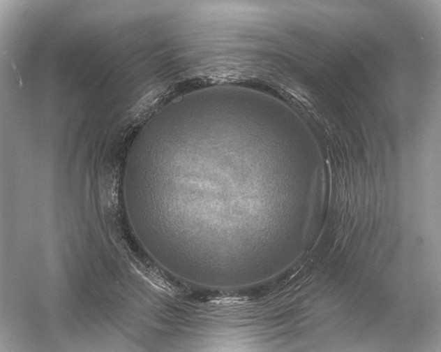 X0000061150499200511181238