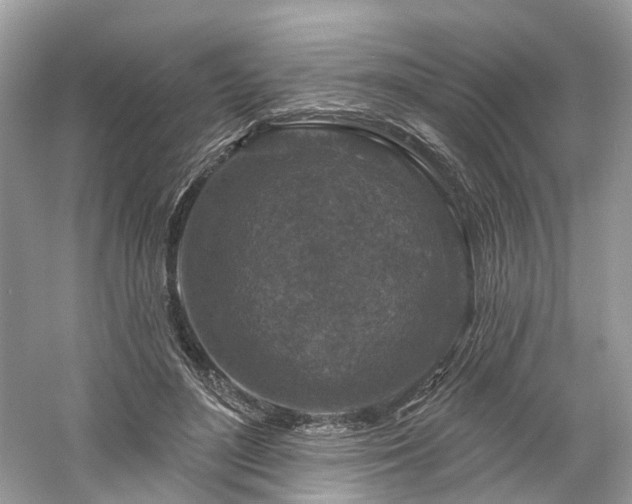 X0000061150500200511181238