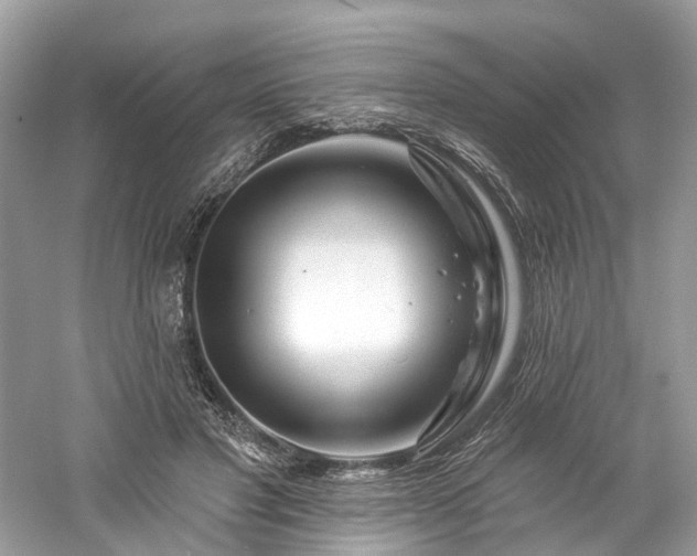 X0000061150501200511181238