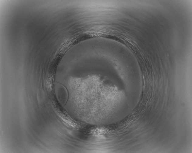 X0000061150503200511181238