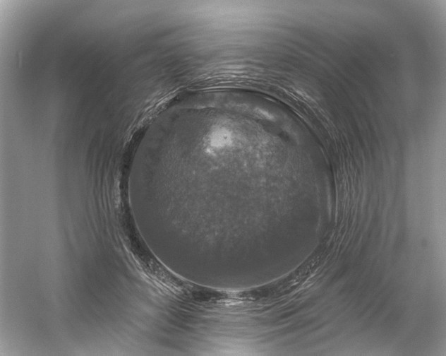 X0000061150504200511181238