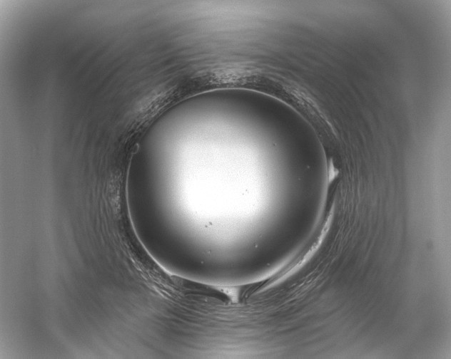 X0000061150505200511181238