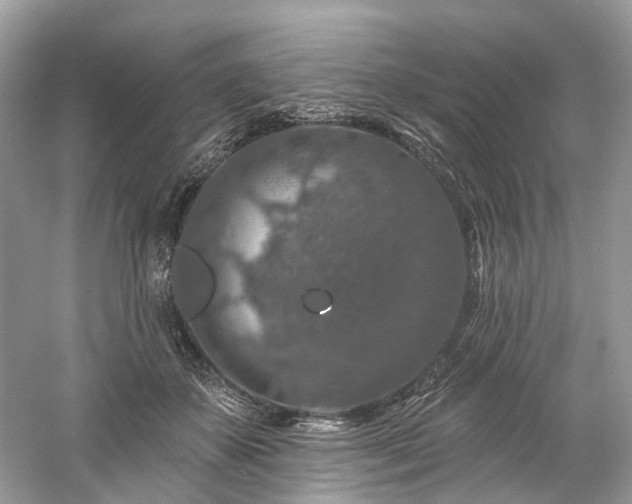 X0000061150507200511181238