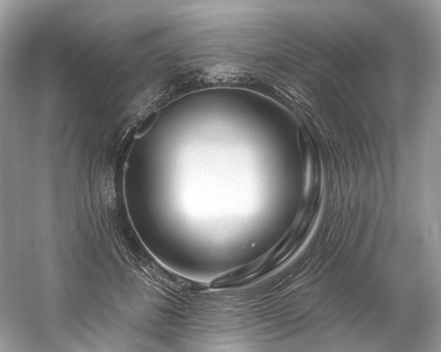 X0000061150508200511181238