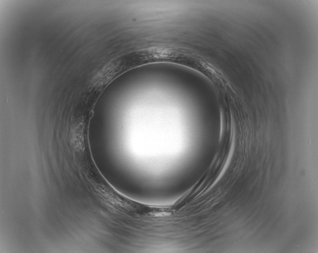 X0000061150509200511181238