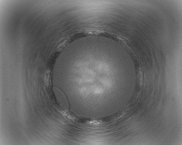 X0000061150511200511181238