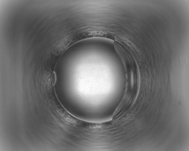 X0000061150513200511181238