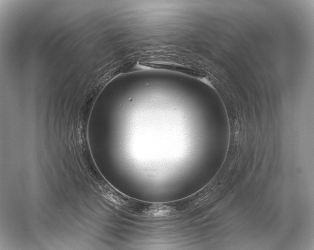 X0000061150514200511181238