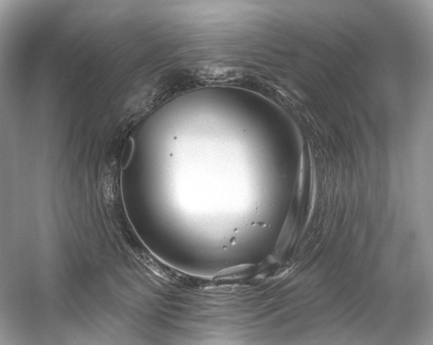 X0000061150515200511181238