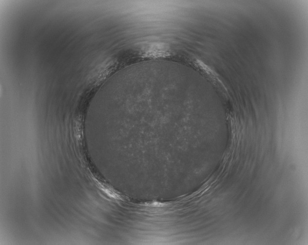 X0000061150517200511181238