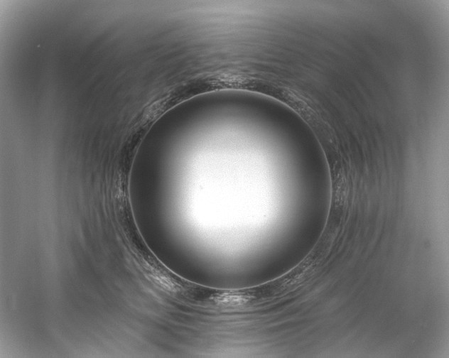 X0000061150518200511181238