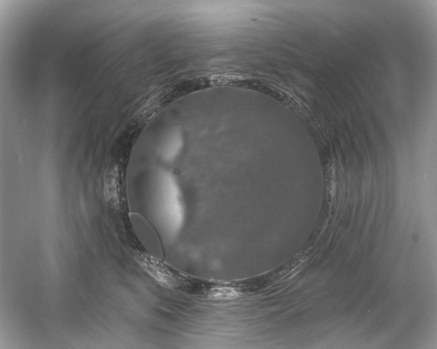 X0000061150519200511181238