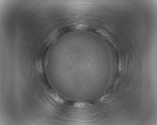 X0000061150520200511181238