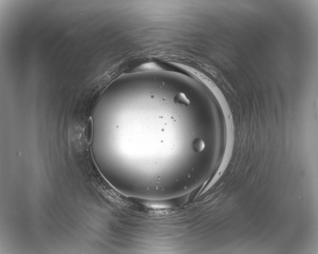 X0000061150521200511181238