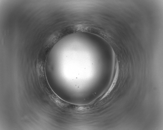 X0000061150522200511181238