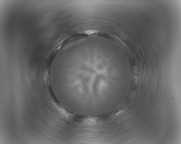 X0000061150523200511181237