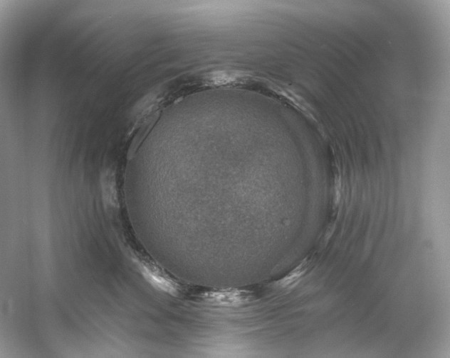 X0000061150524200511181237