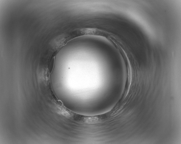 X0000061150525200511181237