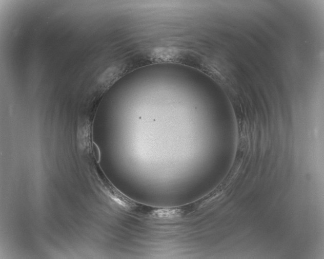 X0000061150526200511181237