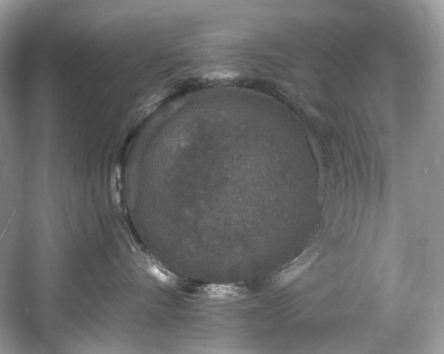 X0000061150528200511181237