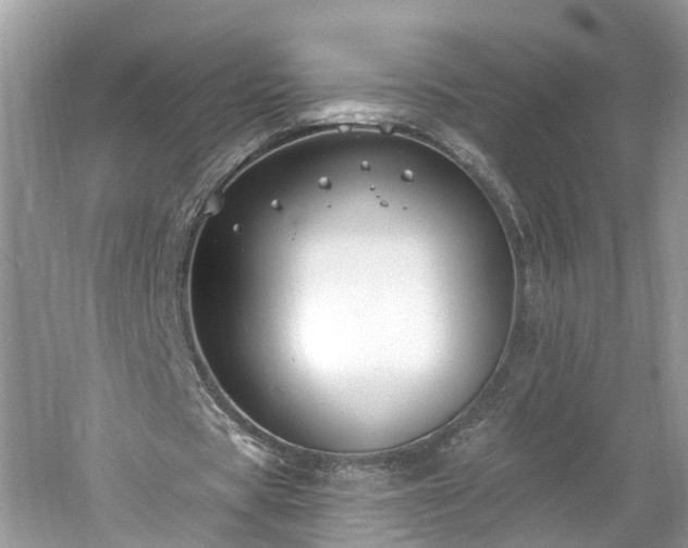 X0000061150529200511181237