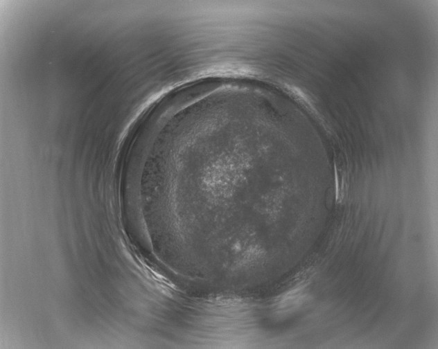 X0000061150531200511181237