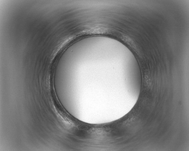 X0000061150534200511181237