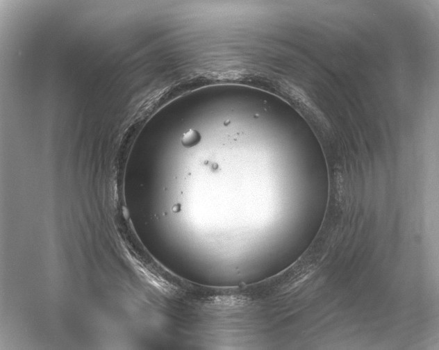 X0000061150541200511181237