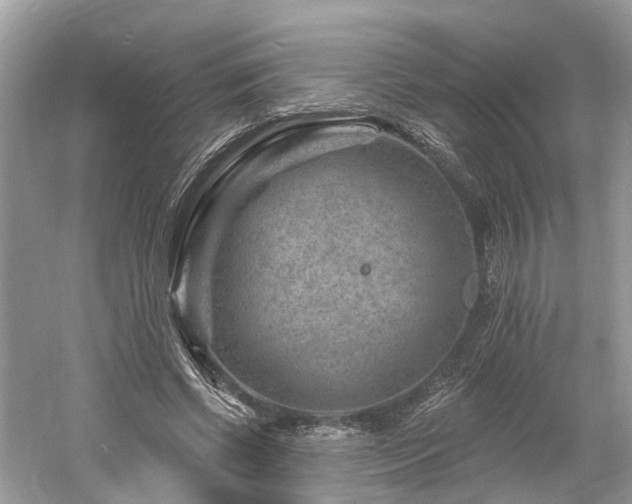 X0000061150542200511181237