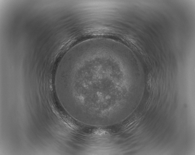 X0000061150547200511181237