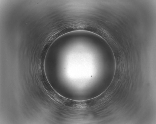 X0000061150548200511181237