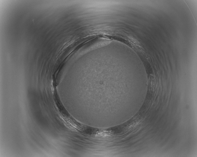 X0000061150550200511181237