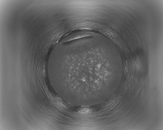 X0000061150551200511181237