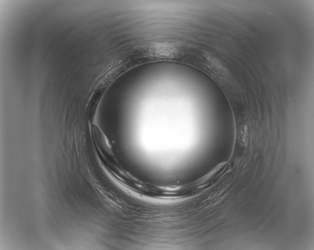 X0000061150552200511181237