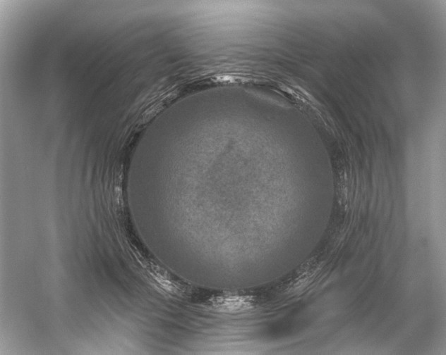 X0000061150553200511181237