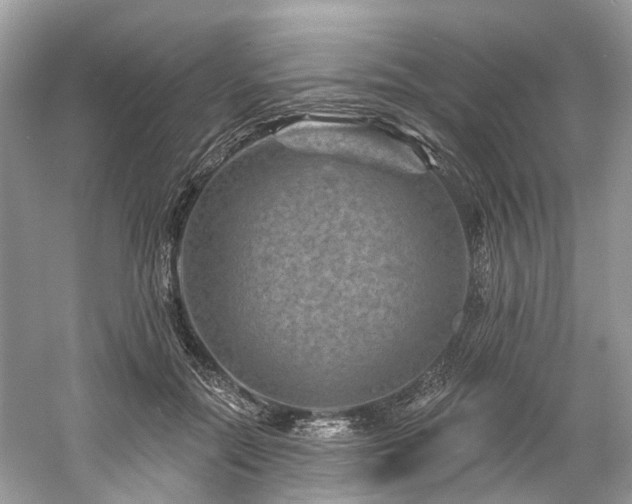 X0000061150554200511181237