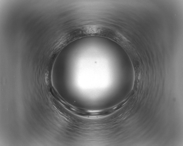 X0000061150556200511181237