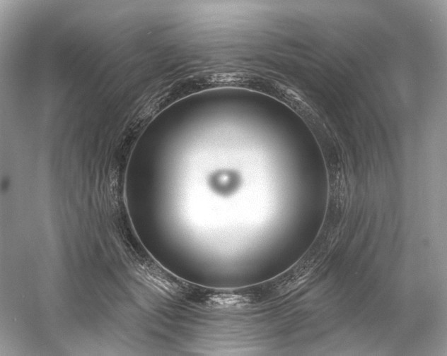 X0000061150557200511181237