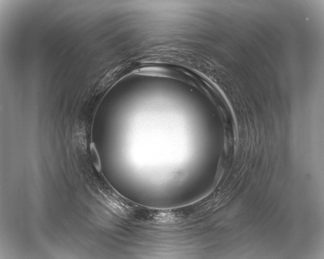 X0000061150562200511181237