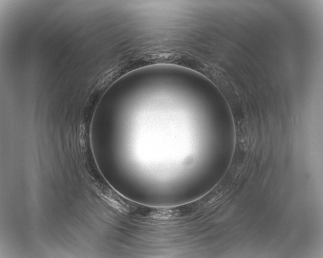 X0000061150563200511181237