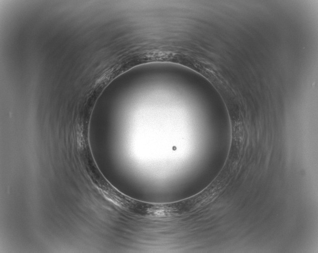 X0000061150564200511181237