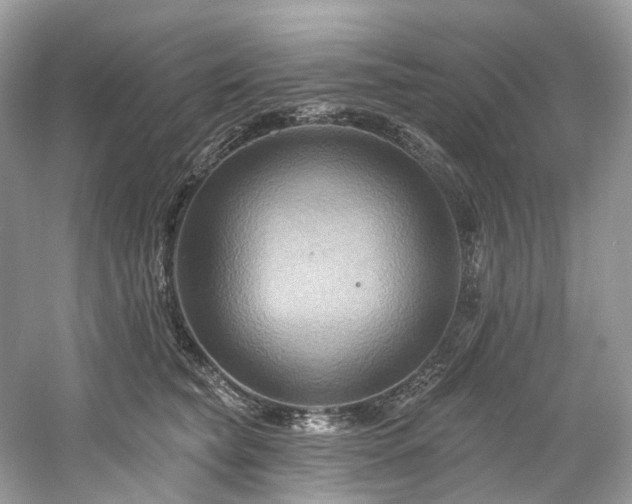 X0000061150565200511181237