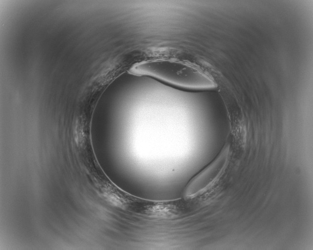 X0000061150566200511181237