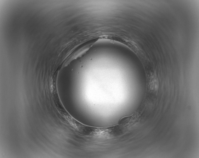 X0000061150569200511181237