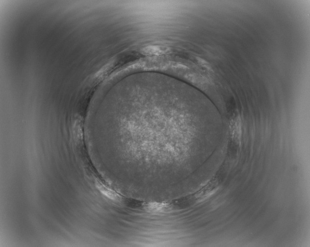 X0000061150570200511181237