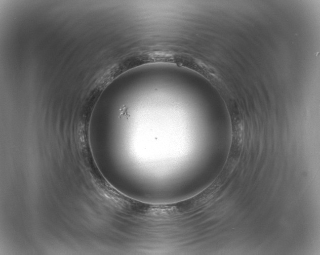 X0000061150571200511181237