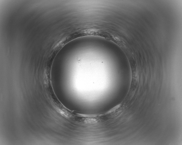 X0000061150572200511181237