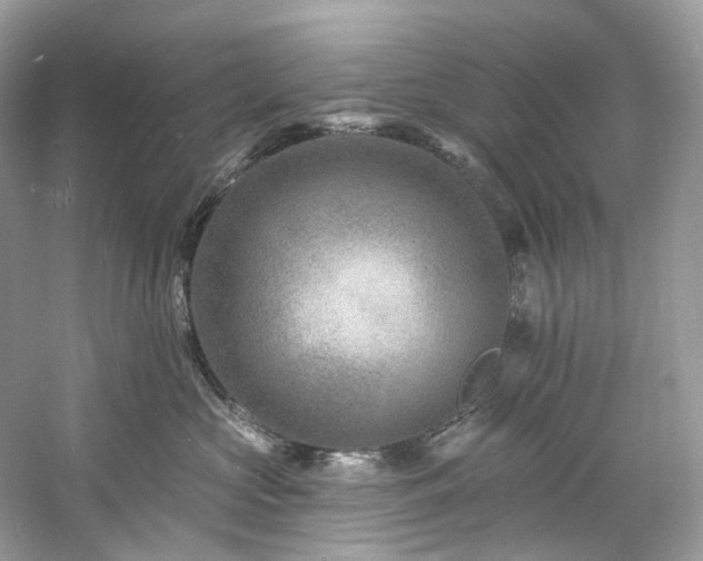 X0000061150573200511181237