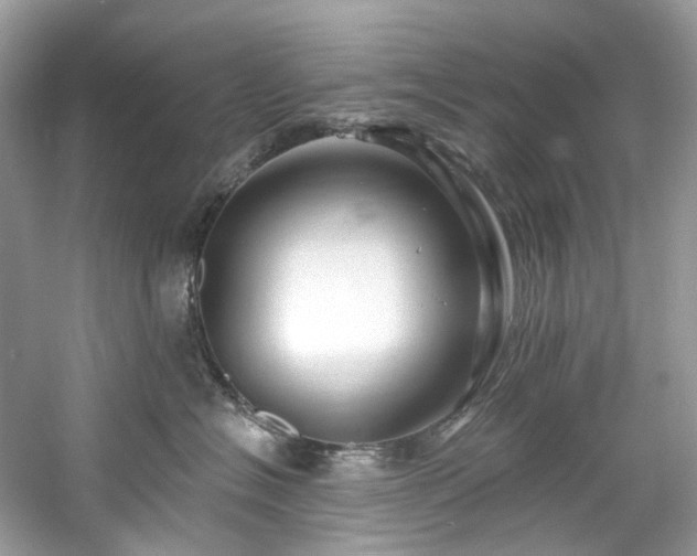 X0000061150574200511181237