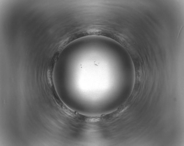 X0000061150575200511181237